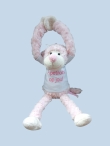 Aapje met shirt Apetrots op jou!